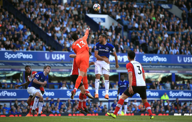 他们更加注 他们更加注